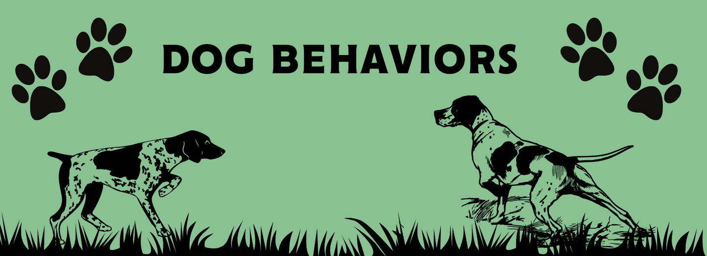 Dog Behaviors