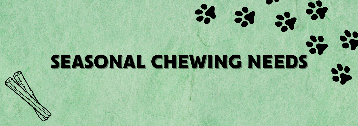 Seasonal Chewing Needs: Why Fall & Winter Are the Perfect Time to Stock Up on Bones