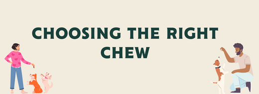 Choosing the Right Chew
