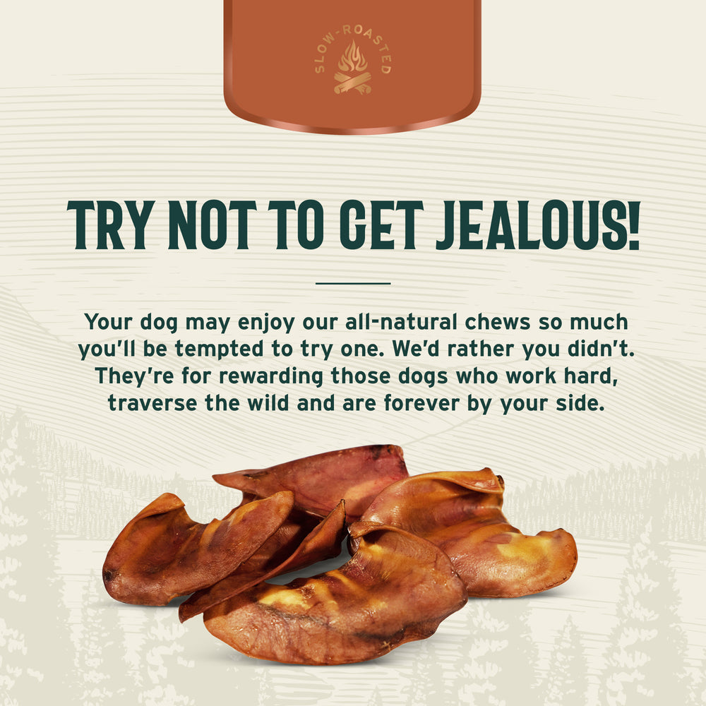 Pig Ears - 6 Count