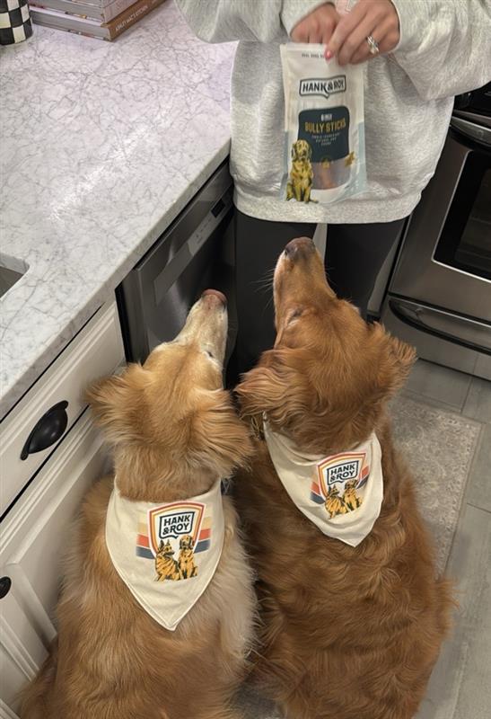 
                  
                    H&R Bandana
                  
                