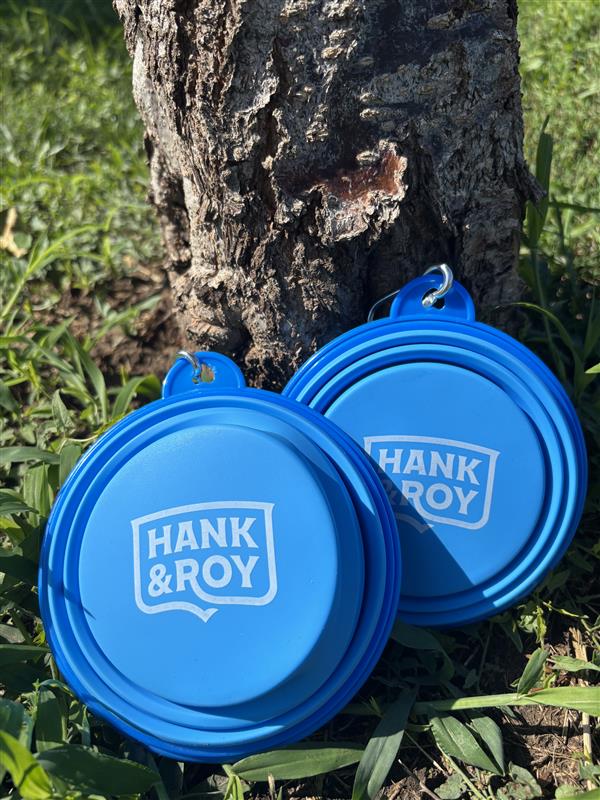 
                  
                    Hank & Roy Collapsible Dog Bowl
                  
                