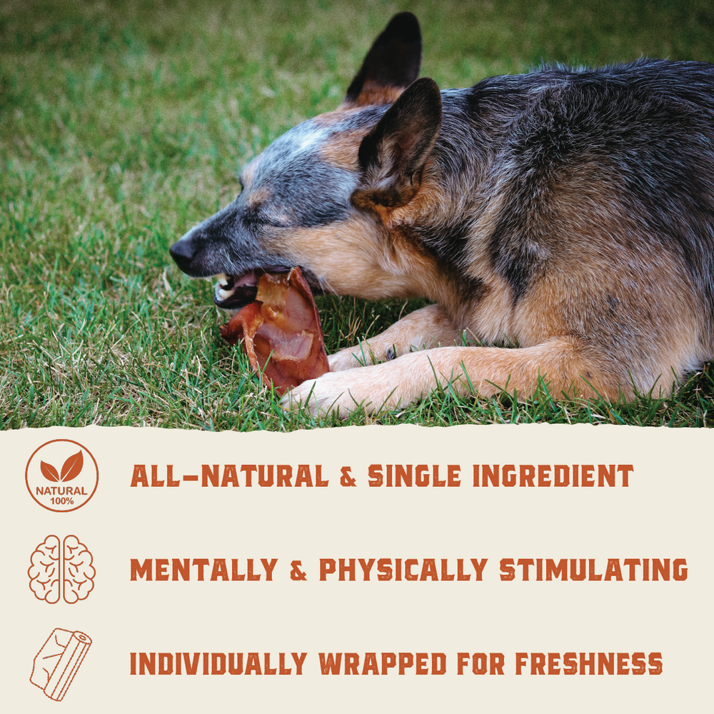 Pig Ears - 6 Count