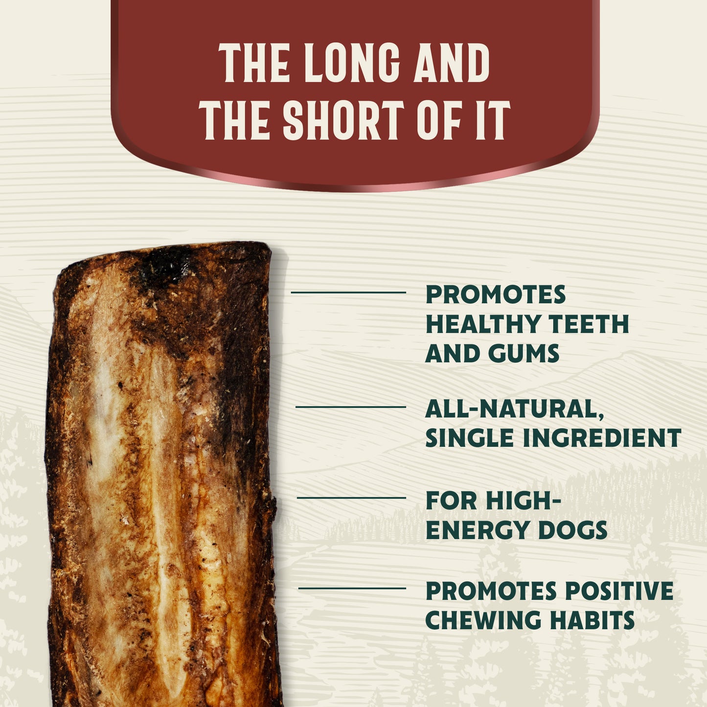 
                  
                    hank & roy - long_and_short_of_it - beef_rib_bones_dog_chews_natural_best_original_treat_agressive_chewers_high_energy_large_dog_breed
                  
                
