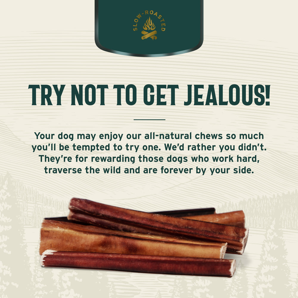 
                  
                    hank and roy - try_not_to_get_jealous - bully_sticks_dog_chews_natural_best_original_treat_agressive_chewers_high_energy_large_dog_breed
                  
                